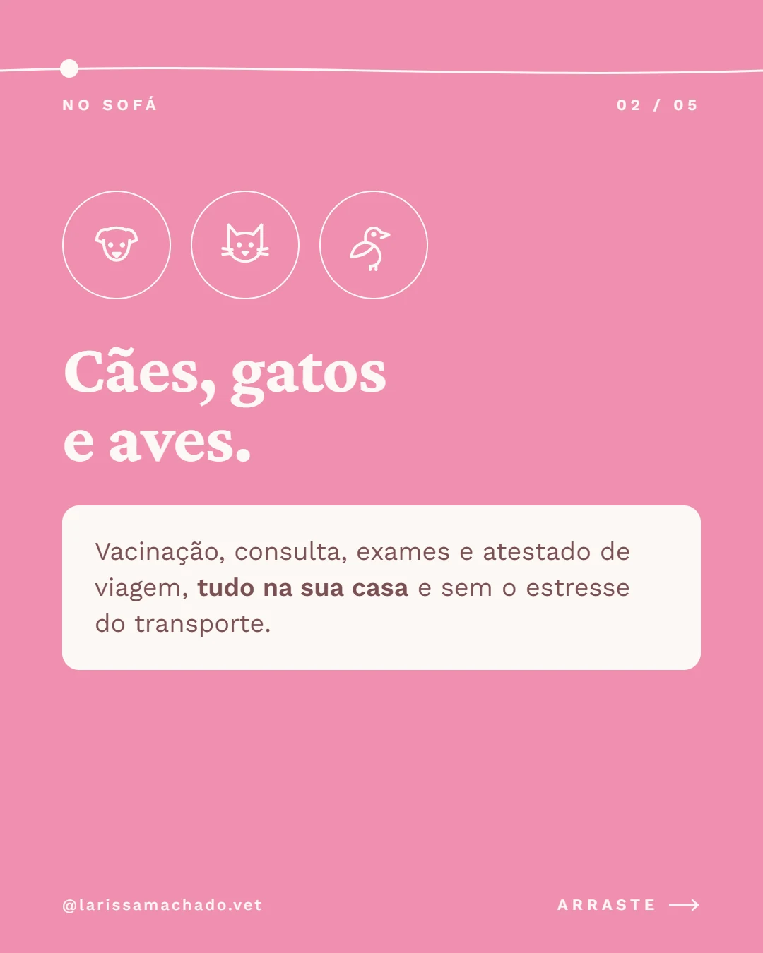Carrossel de Instagram para médica veterinária (Larissa Machado), slide 2