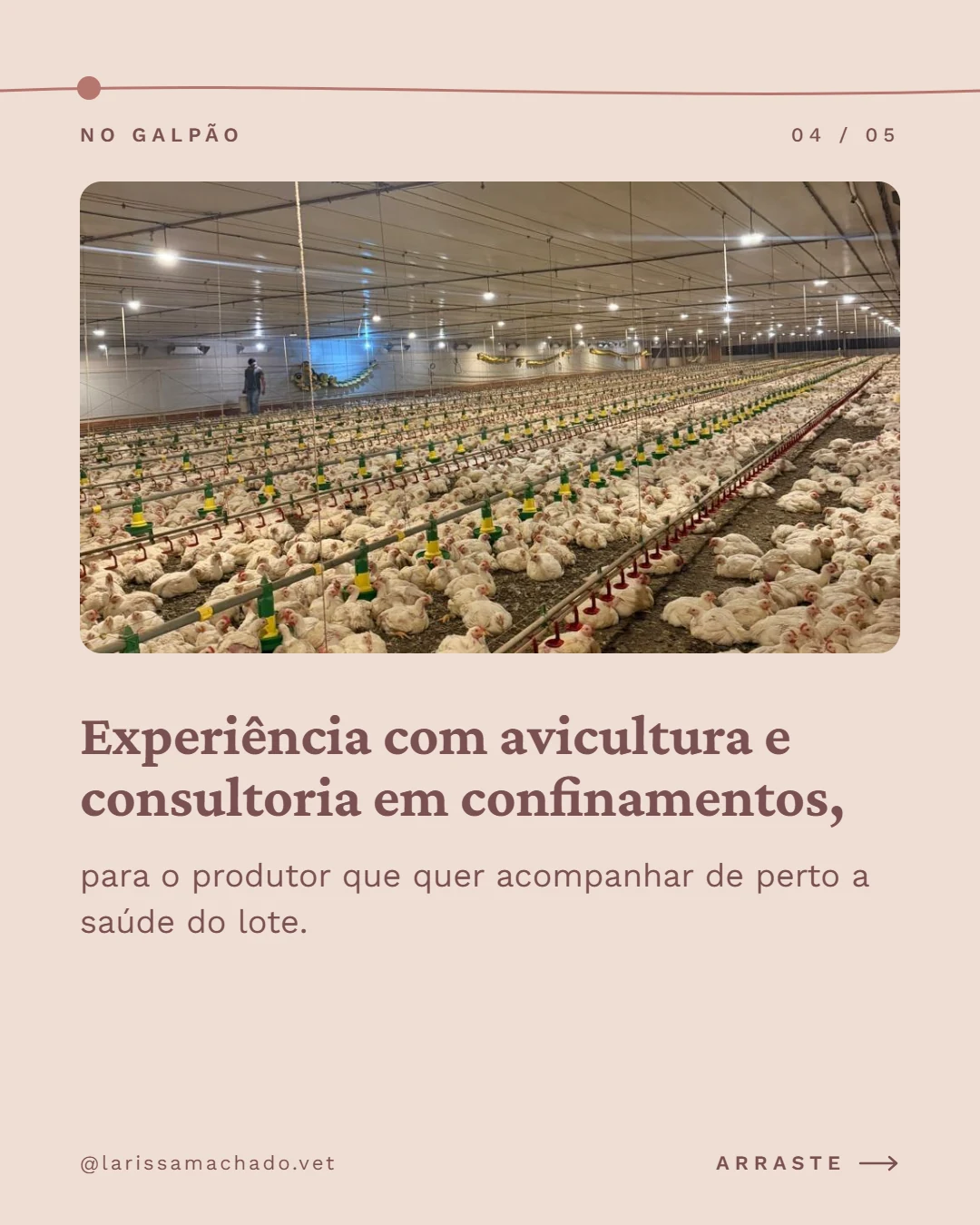 Carrossel de Instagram para médica veterinária (Larissa Machado), slide 4