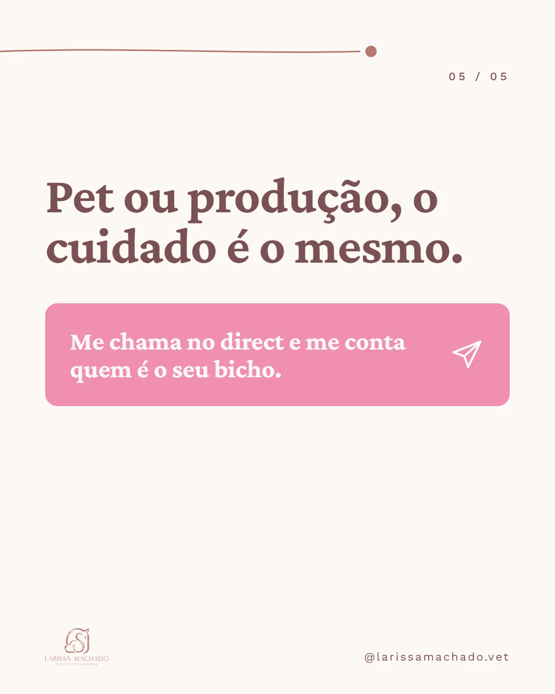 Carrossel de Instagram para médica veterinária (Larissa Machado), slide 5