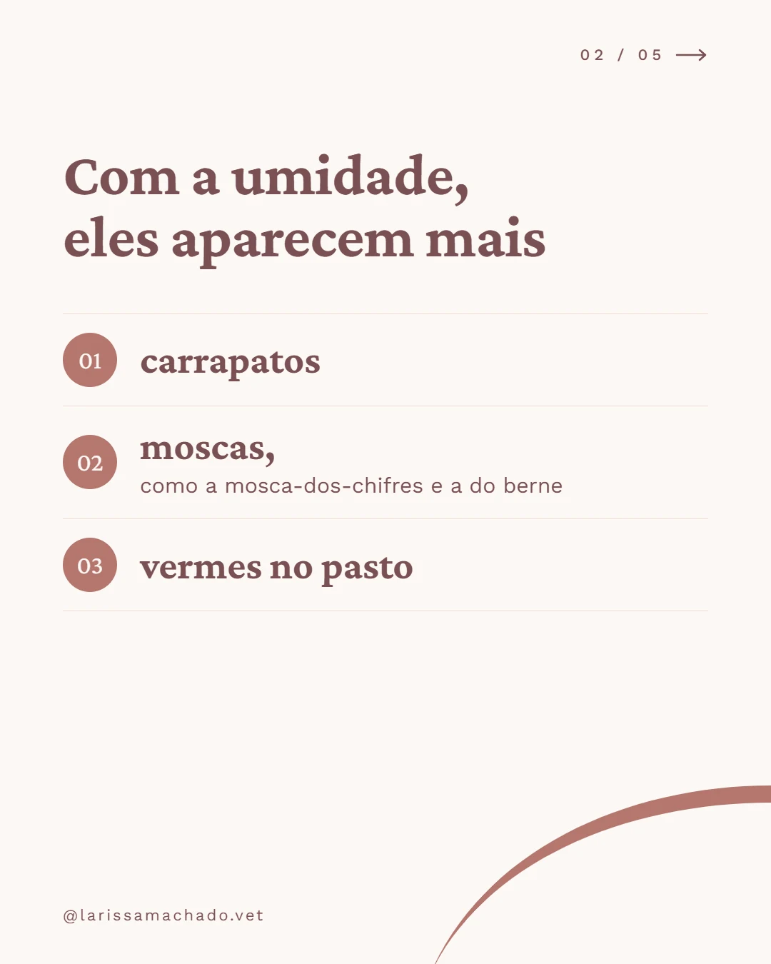 Carrossel de Instagram para médica veterinária (Larissa Machado), slide 2