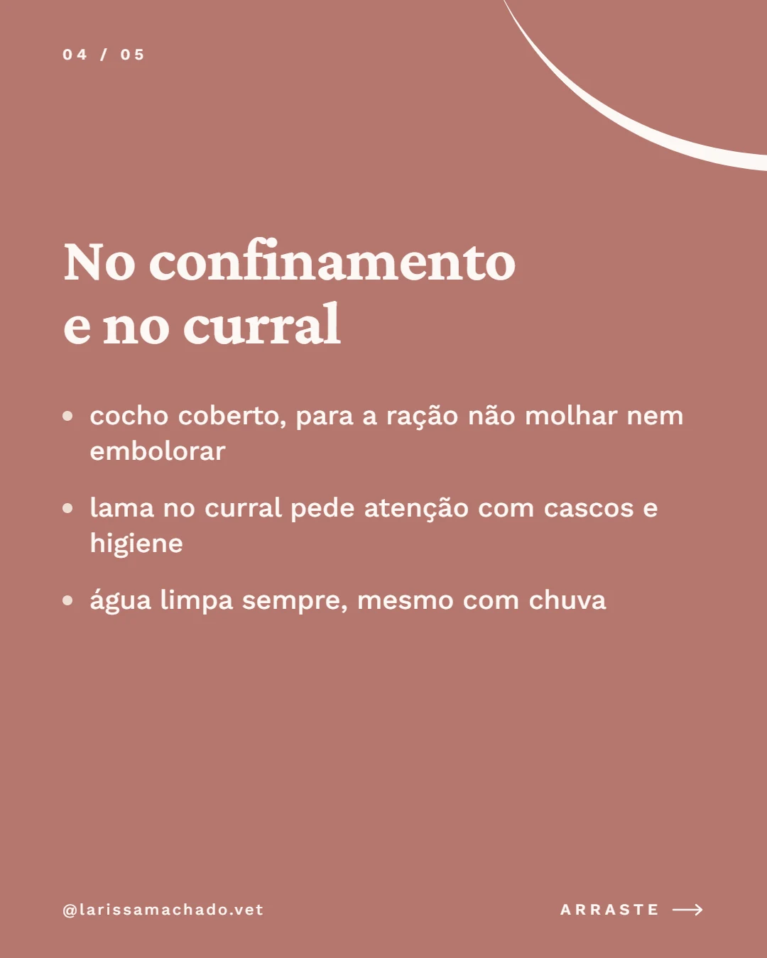 Carrossel de Instagram para médica veterinária (Larissa Machado), slide 4