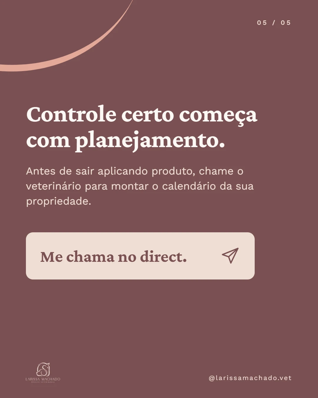 Carrossel de Instagram para médica veterinária (Larissa Machado), slide 5